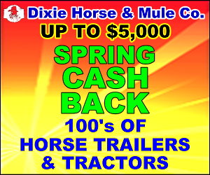 250 Trailers in Stock at Dixie Horse and Mule