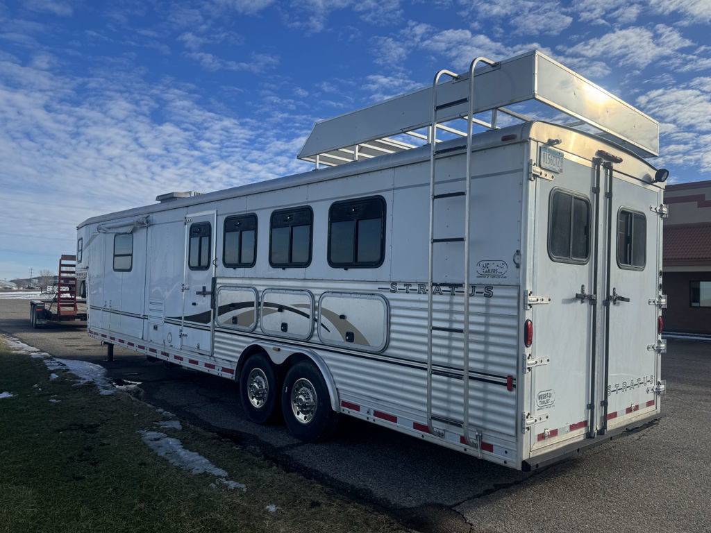 2004 Bison 4h lq stratus