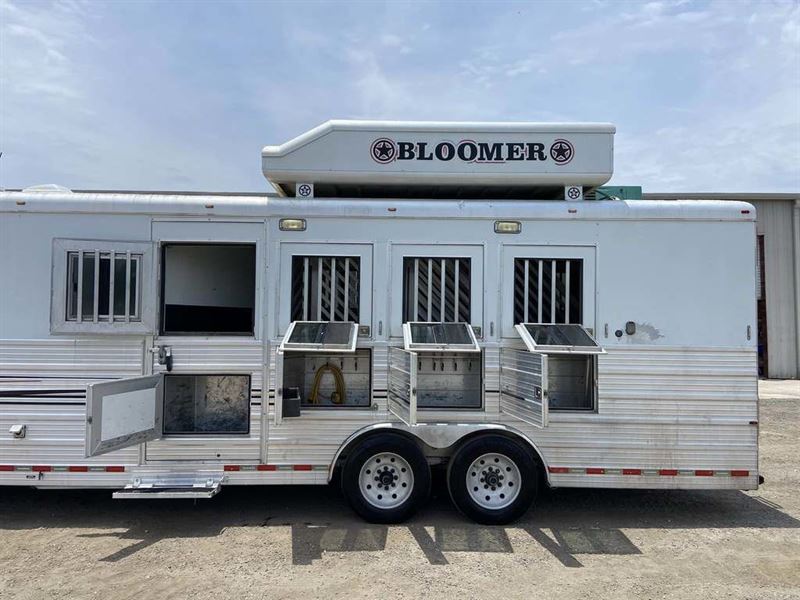 2008 Bloomer
