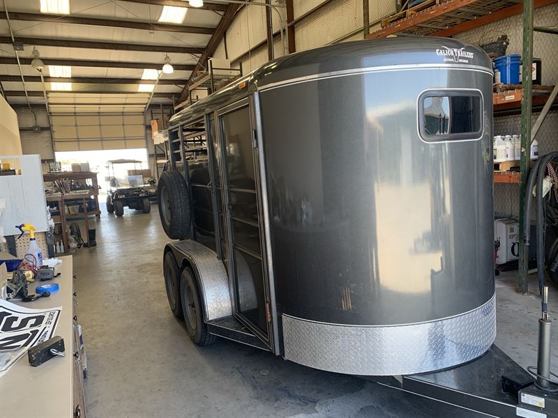 2024 Calico 2 Horse Bumper Pull Trailer