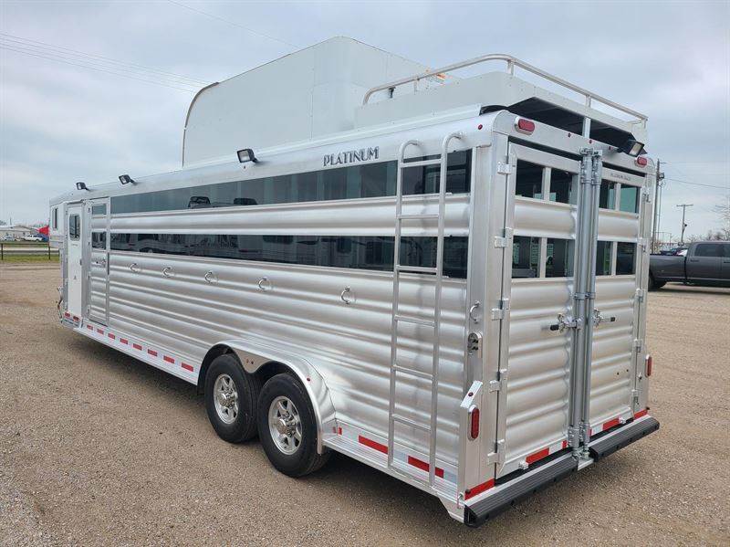 2025 Platinum Coach 6 Horse PERFECT SIDE TACK