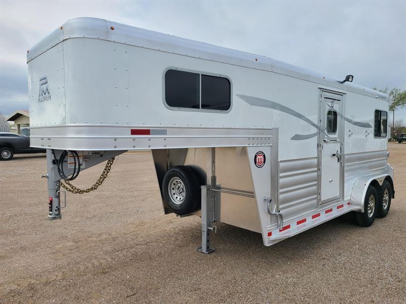 2024 Platinum Coach 2 Horse Straight WARMBLOOD