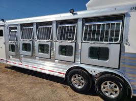 2026 4 horse Platinum Coach SIDE TACK and Drop Down Windows!!!