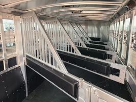 2026 5 horse Platinum Coach 6 Horse PERFECT SIDE TACK