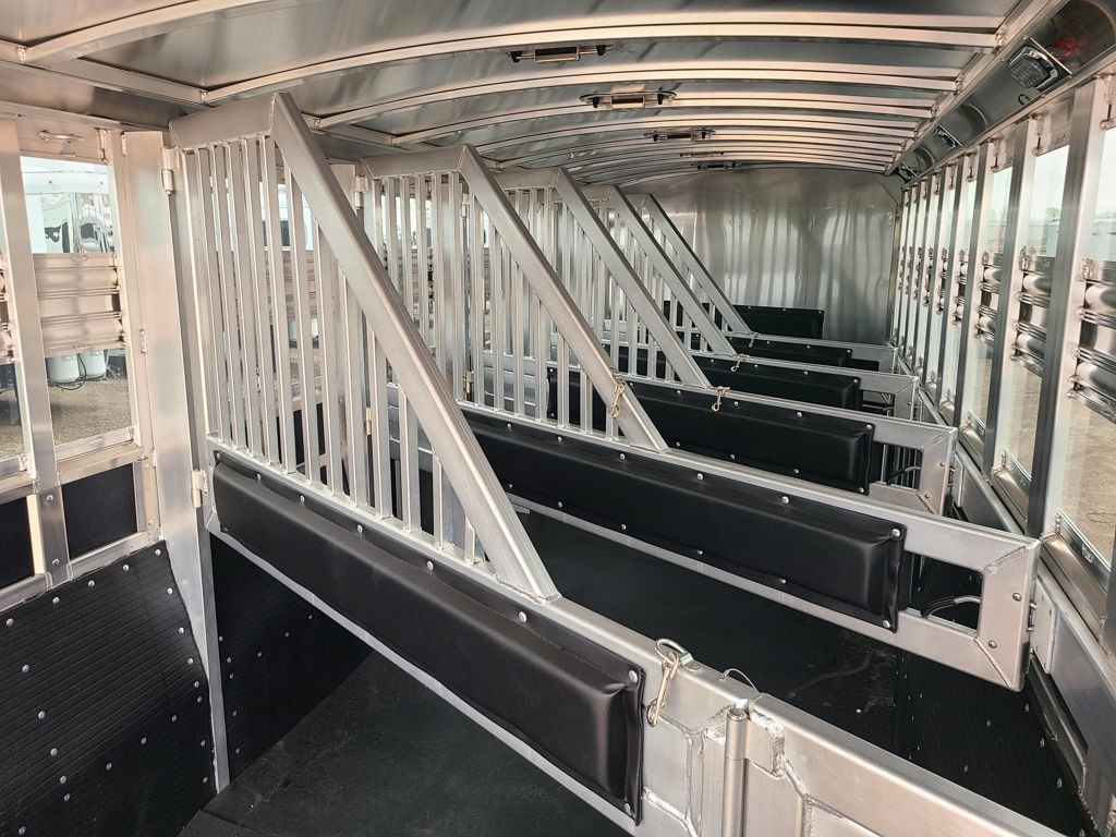 2027 Platinum Coach 6 horse perfect side tack