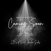 2026 Stock horse Bee 14' BP STOCK