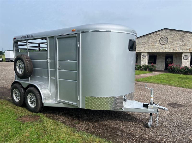 2025 Calico 2 horse bumper pull