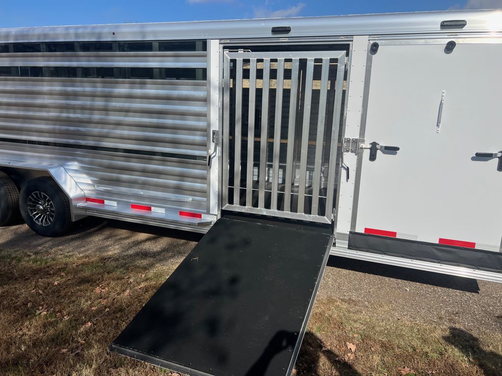 2026 Exiss 25' show cattle
