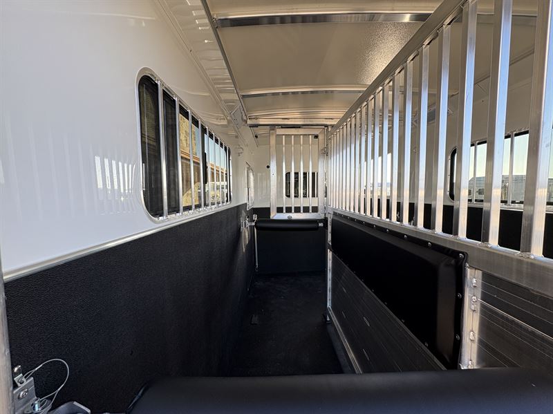 2026 Cimarron 2 horse straight load bumper pull trailer
