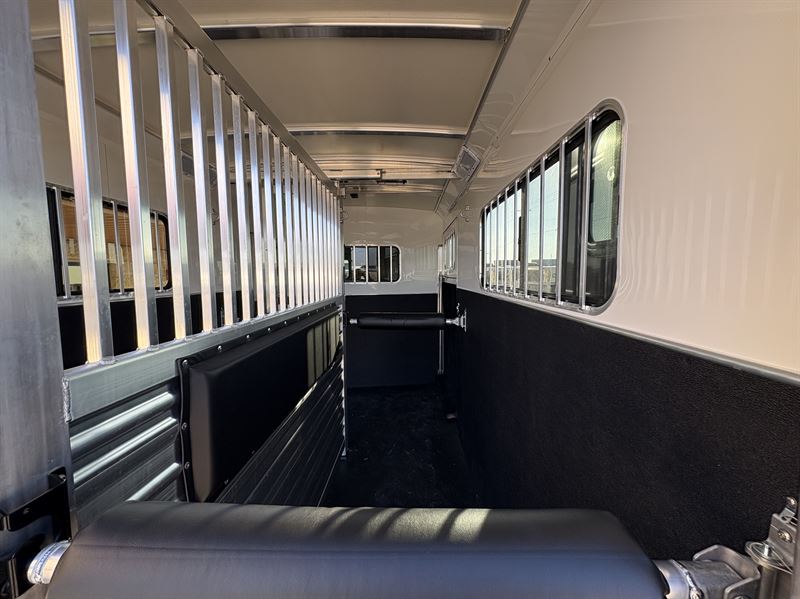 2026 Cimarron 2 horse straight load bumper pull trailer
