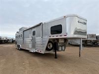 2009  horse Cimarron 4Hlq
