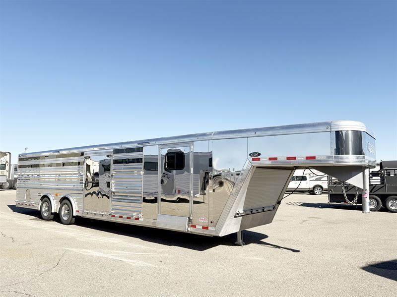 2019 Cimarron Stierwalt Signature Series Stock