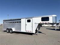 2019 Stock horse Cimarron Lonestar Stock Stock